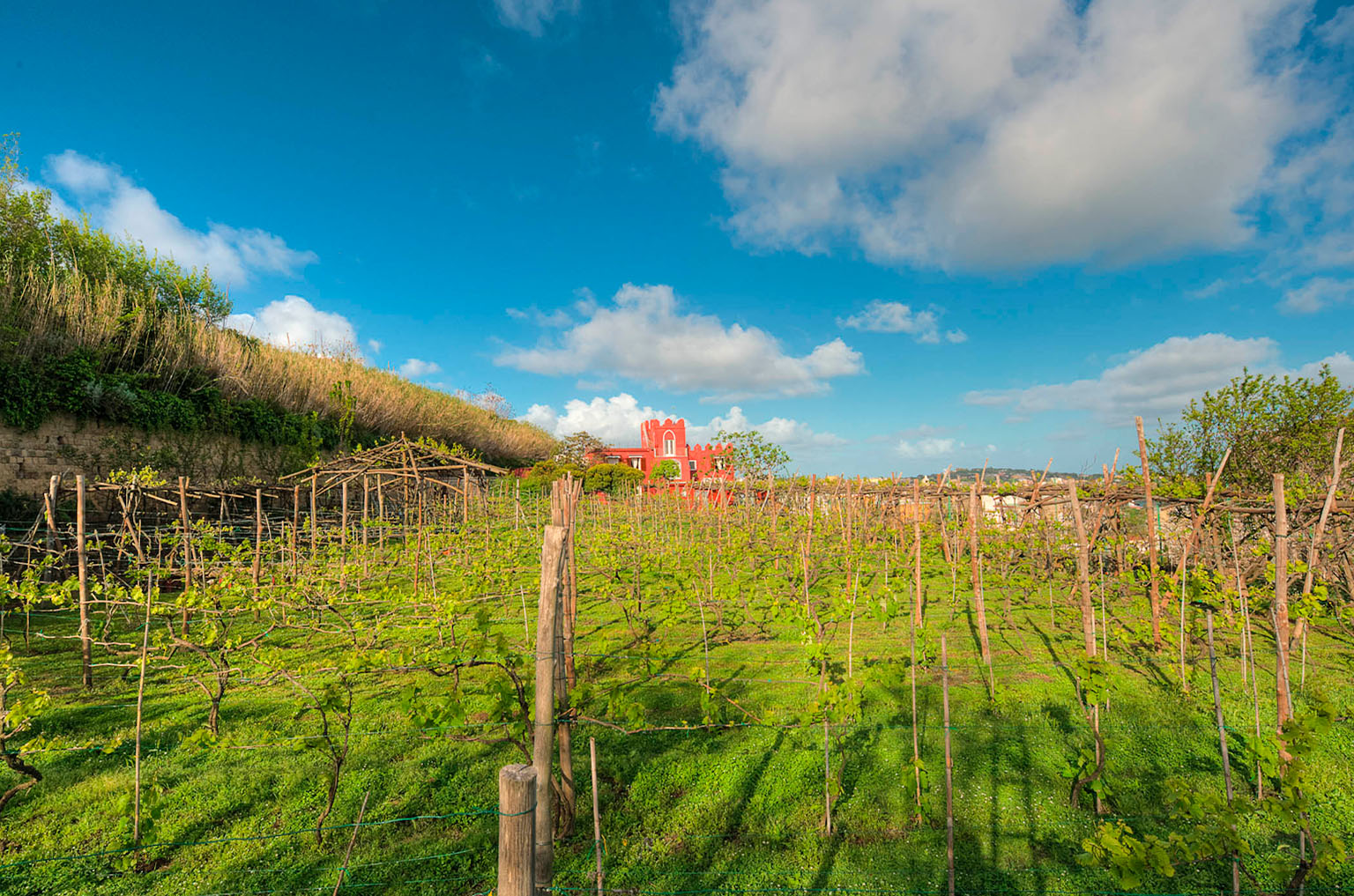 il-mare-nel-calice-conferenza-festa-del-vino-procida