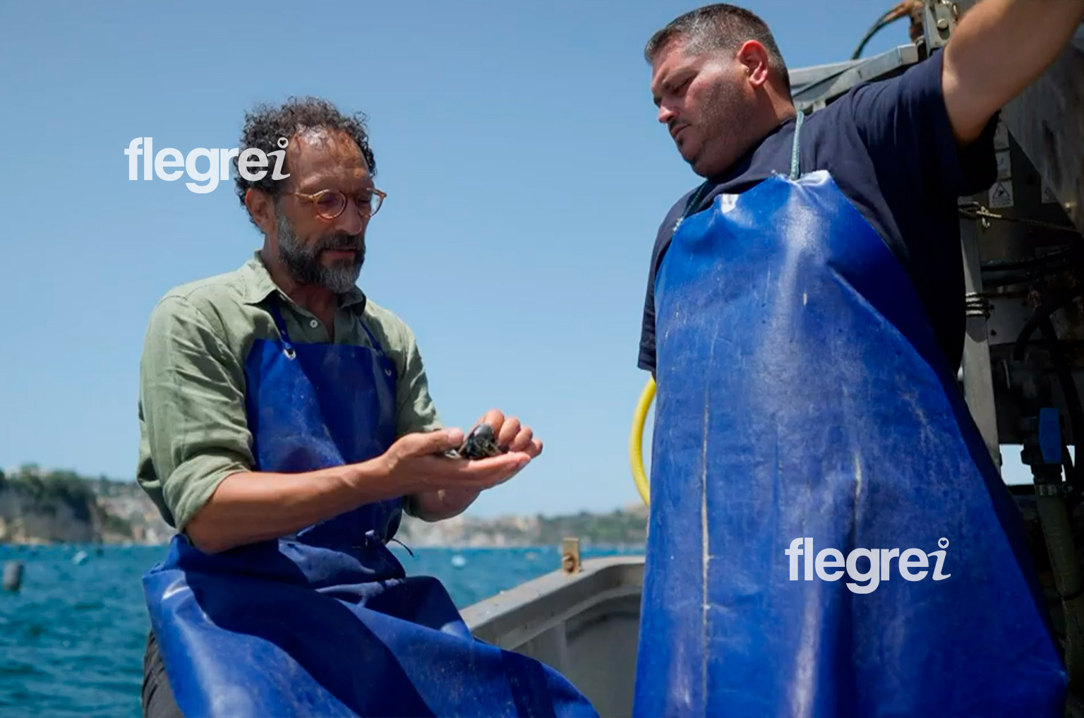 vista-mare-federico-quaranta-cozze-di-bacoli