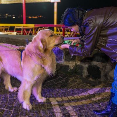 Festa Limone Procida 2025 0734
