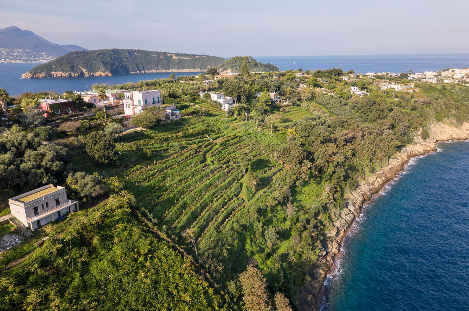 azienda-agricola-lubrano-lavadera-procida