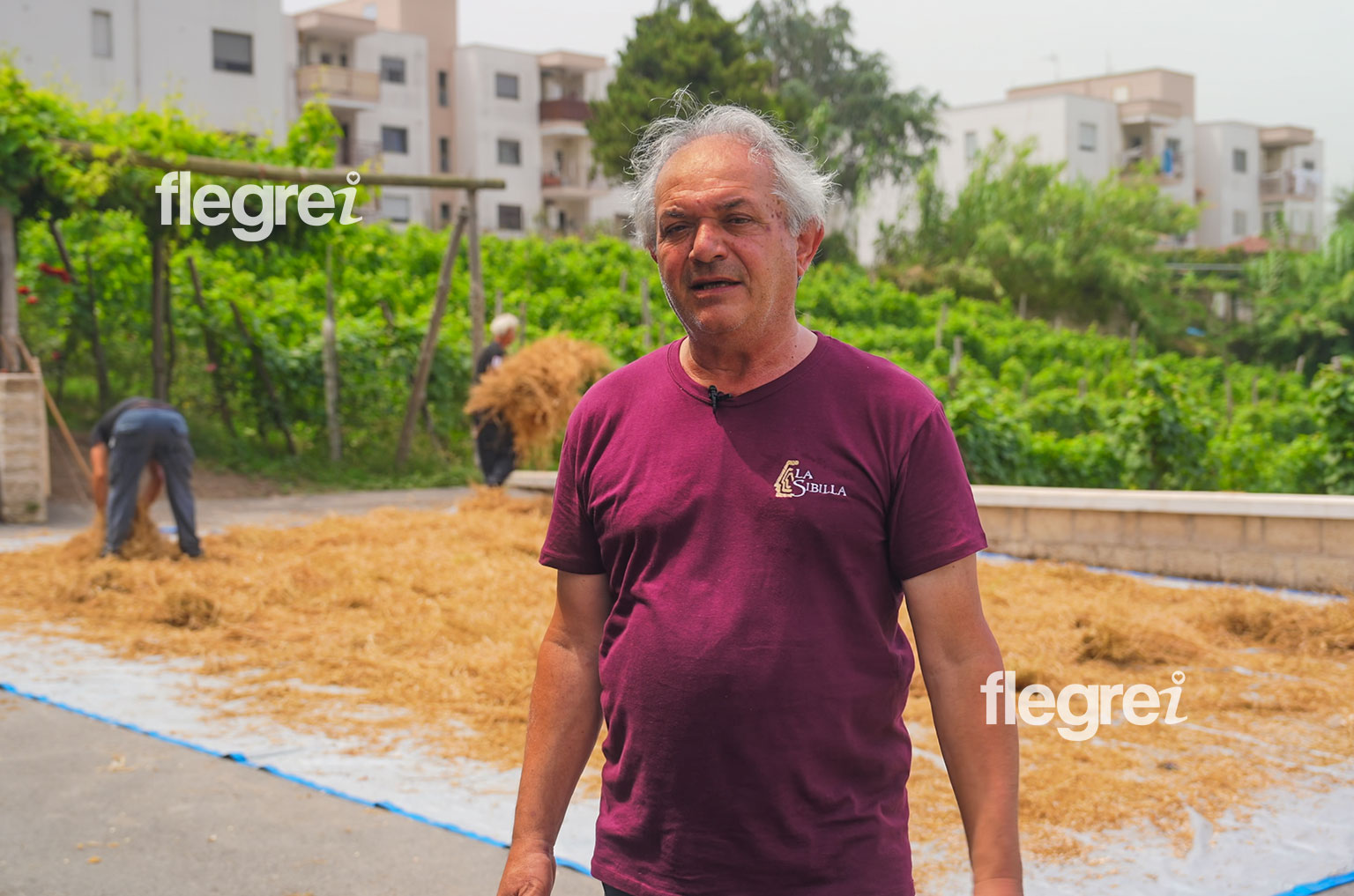 cicerchia-campi-flegrei-luigi-di-meo-la-sibilla