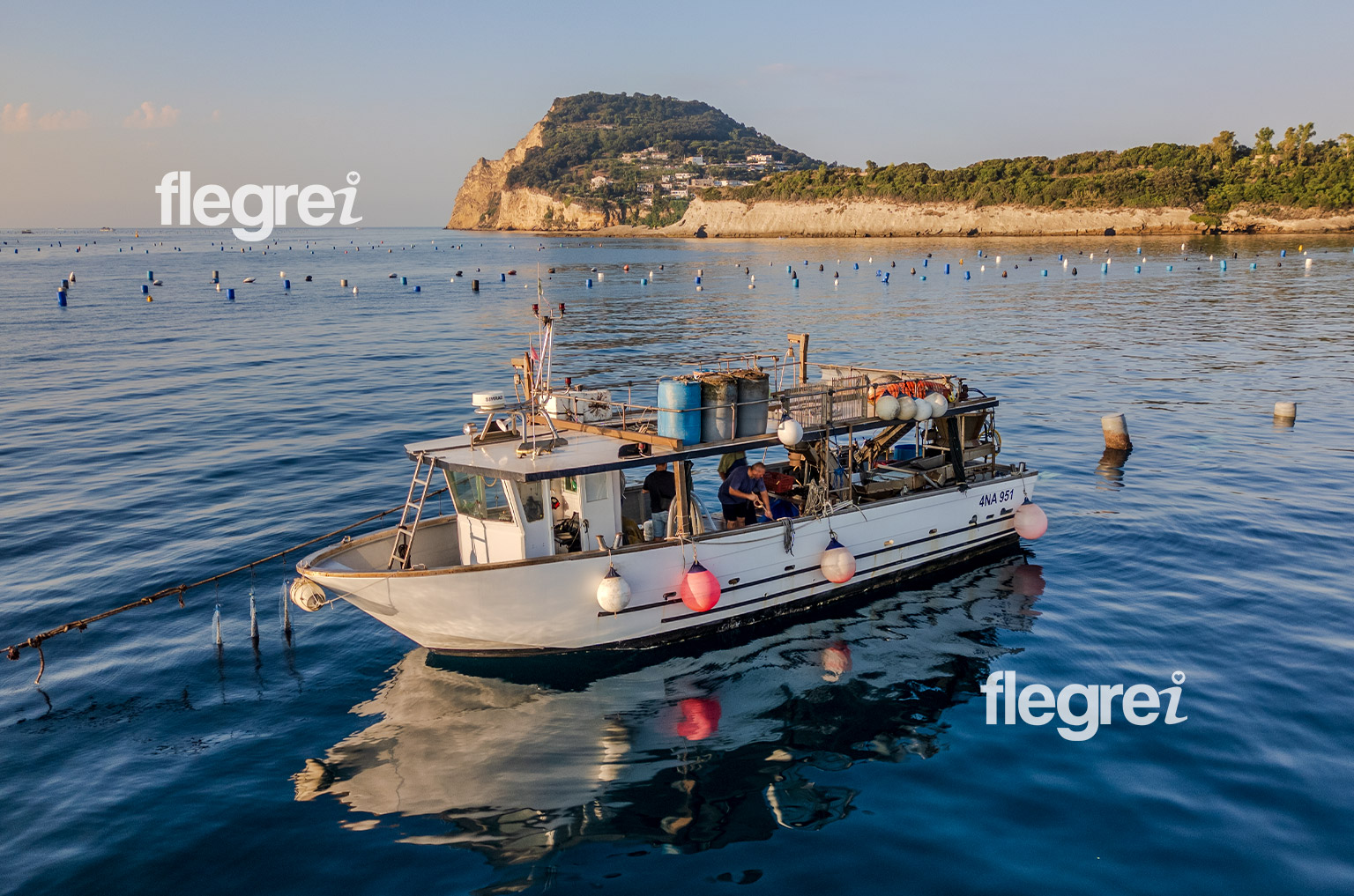 allevamento-cozze-ostriche-mitili-campi-flegrei